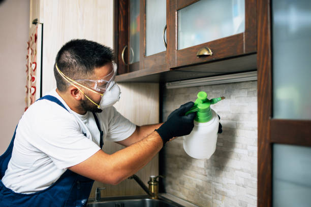  Fowlerville, MI Pest Control Pros