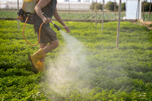 Best Affordable Pest Control Services  in Fowlerville, MI