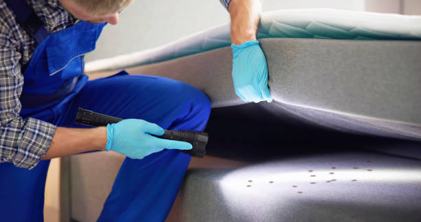 Best Residential Pest Control  in Fowlerville, MI