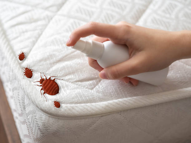 Best Ant Control Services  in Fowlerville, MI