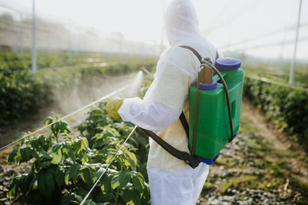 Best Termite Control Services  in Fowlerville, MI